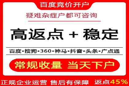 百度推广中的创意策略：成功案例解析与启示